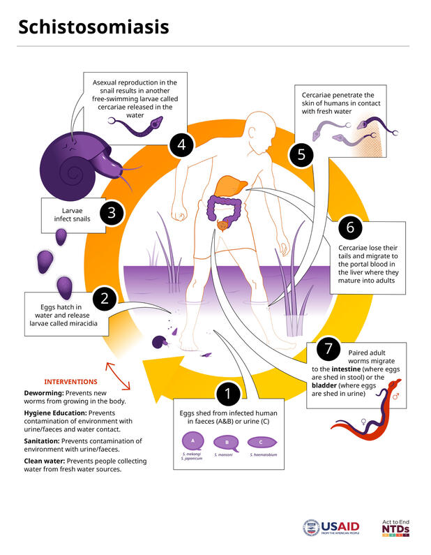 Act to End NTDs West