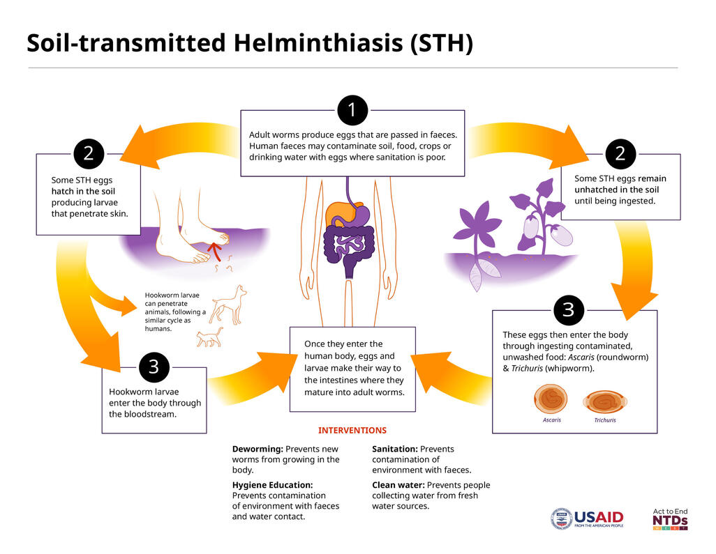 Act to End NTDs West